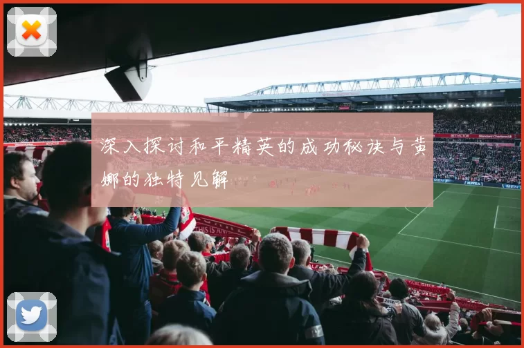 深入探讨和平精英的成功秘诀与黄娜的独特见解