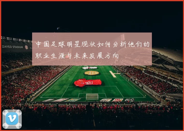 中国足球明星现状如何分析他们的职业生涯与未来发展方向