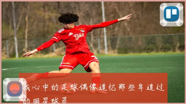 我心中的足球偶像追忆那些年追过的明星球员