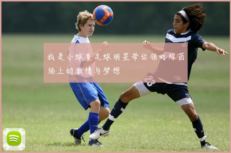 我是小球皇足球明星带你领略绿茵场上的激情与梦想