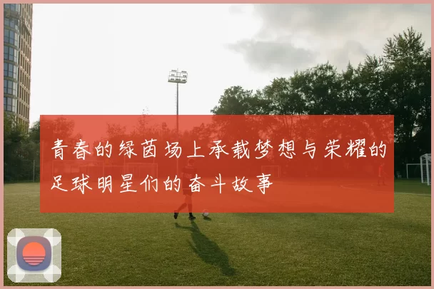 青春的绿茵场上承载梦想与荣耀的足球明星们的奋斗故事