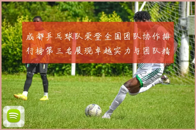 成都乒乓球队荣登全国团队协作排行榜第三名展现卓越实力与团队精神