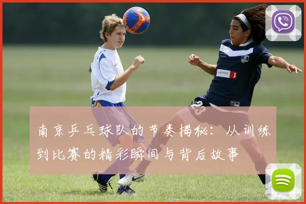 南京乒乓球队的节奏揭秘：从训练到比赛的精彩瞬间与背后故事