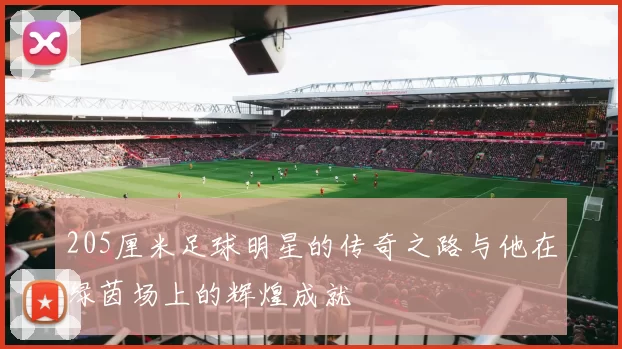 205厘米足球明星的传奇之路与他在绿茵场上的辉煌成就