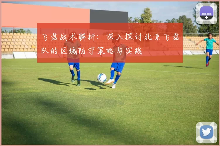 飞盘战术解析：深入探讨北京飞盘队的区域防守策略与实践