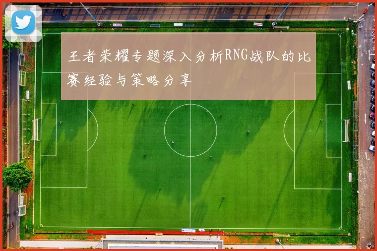 王者荣耀专题深入分析RNG战队的比赛经验与策略分享
