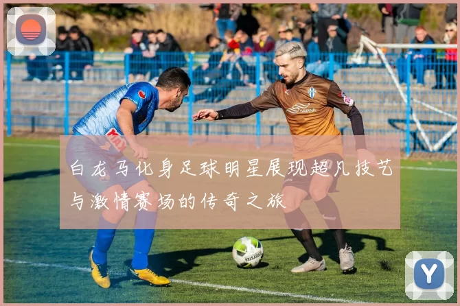 白龙马化身足球明星展现超凡技艺与激情赛场的传奇之旅
