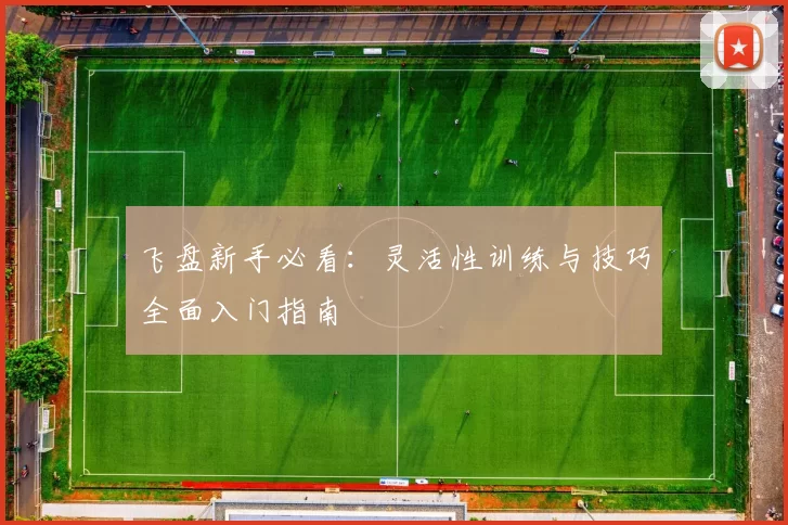 飞盘新手必看：灵活性训练与技巧全面入门指南