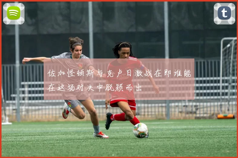 佐加怪顿斯与克卢日激战在即谁能在这场对决中脱颖而出