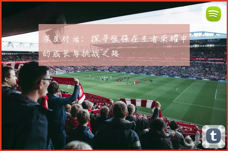 深度对话：探寻张强在王者荣耀中的成长与挑战之路