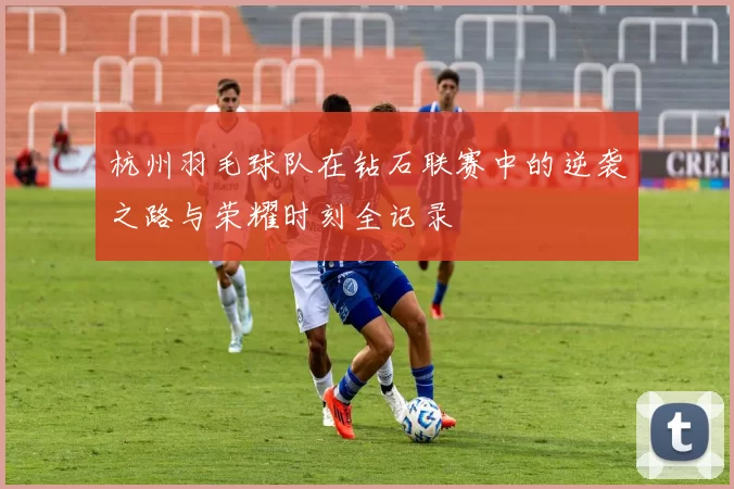 杭州羽毛球队在钻石联赛中的逆袭之路与荣耀时刻全记录