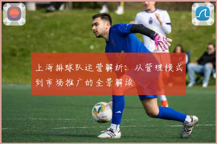 上海排球队运营解析：从管理模式到市场推广的全景解读