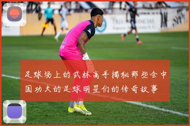足球场上的武林高手揭秘那些会中国功夫的足球明星们的传奇故事