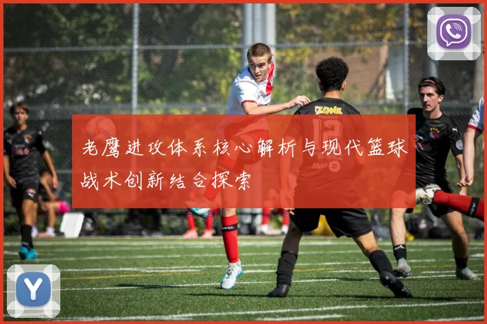 老鹰进攻体系核心解析与现代篮球战术创新结合探索