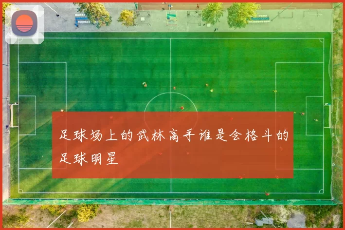 足球场上的武林高手谁是会格斗的足球明星
