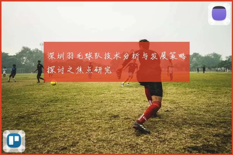 深圳羽毛球队技术分析与发展策略探讨之焦点研究
