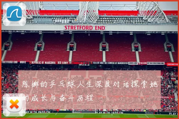 陈娜的乒乓球人生深度对话探索她的成长与奋斗历程