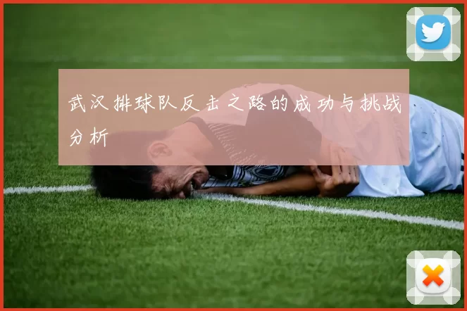 武汉排球队反击之路的成功与挑战分析