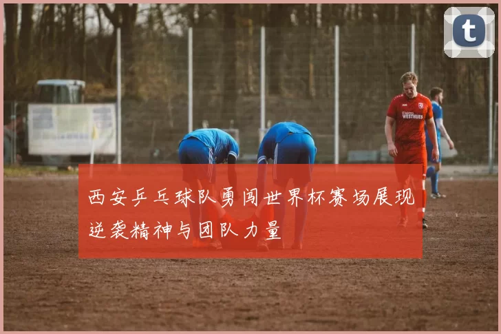 西安乒乓球队勇闯世界杯赛场展现逆袭精神与团队力量