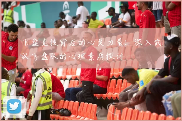 飞盘竞技背后的心灵力量：深入武汉飞盘队的心理素质探讨