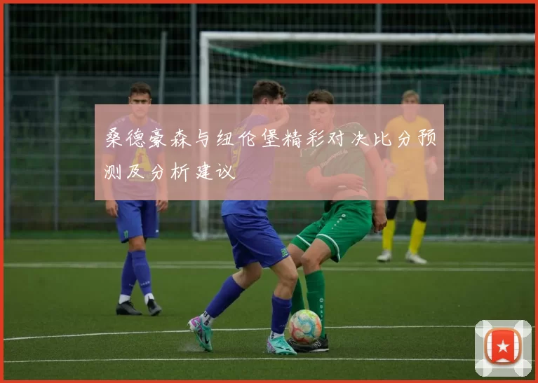 桑德豪森与纽伦堡精彩对决比分预测及分析建议