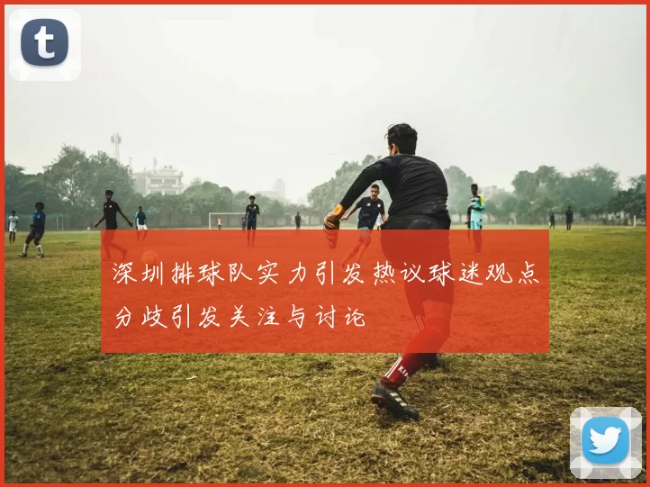 深圳排球队实力引发热议球迷观点分歧引发关注与讨论