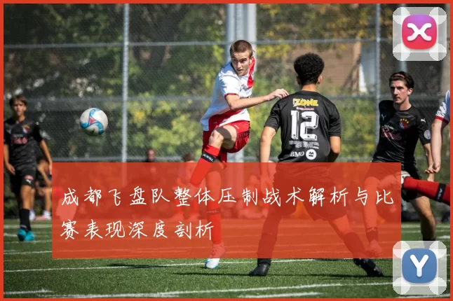 成都飞盘队整体压制战术解析与比赛表现深度剖析