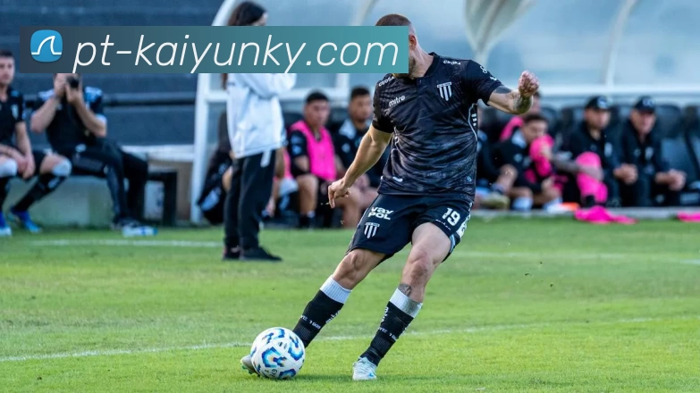 开云APP平台生态图